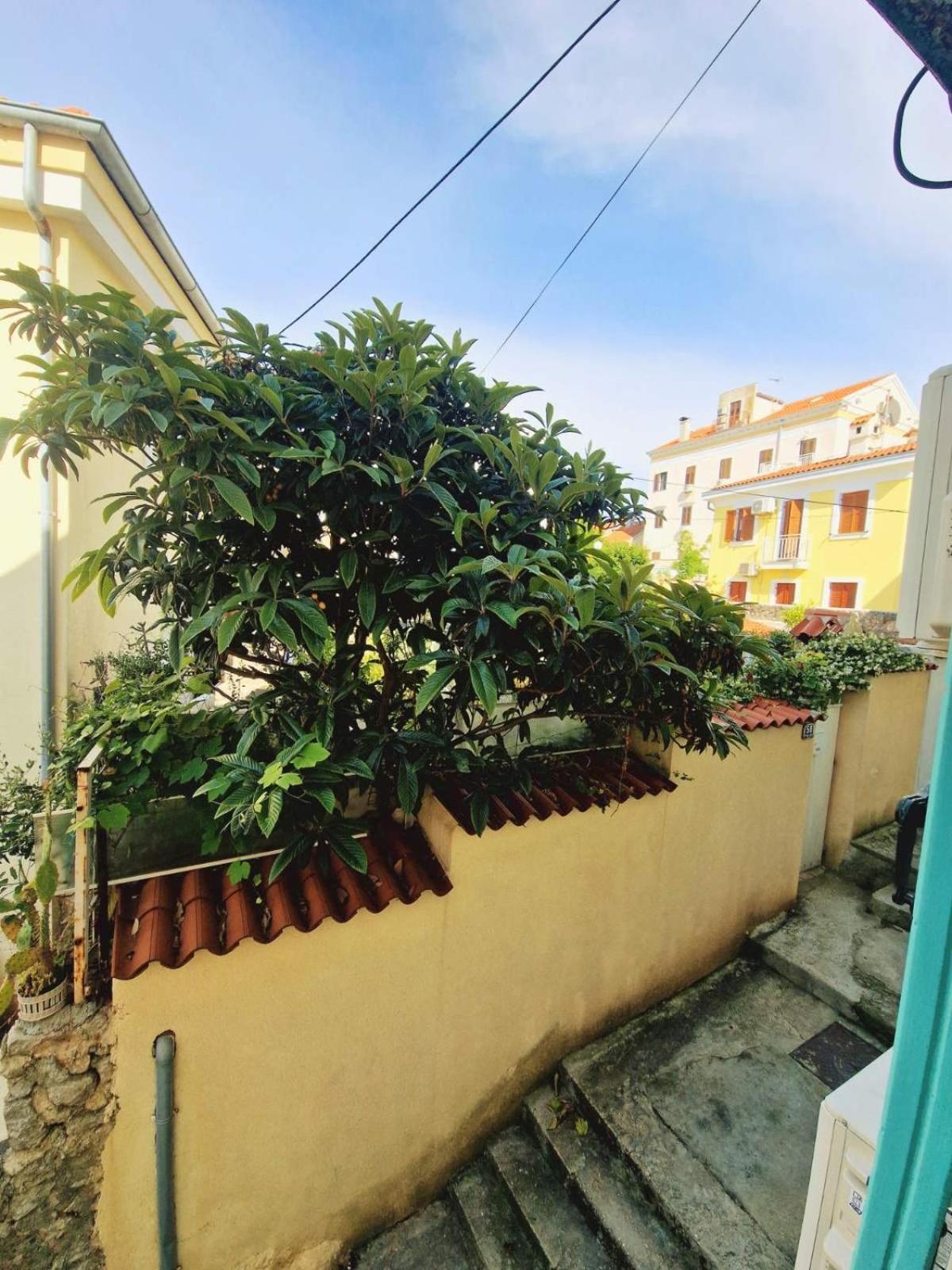 Lassini Mali Losinj